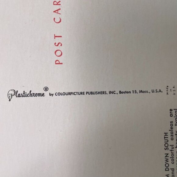 Vintage Post Card Tree With Spanish Moss Azalea Bushes Standard u - Picture 3 of 3